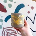 The Yellow - Footed Tortoise Jesmonite Mini Pot [Beneath the Canopy RHS Collab] - Sprouts of Bristol