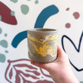 The Yellow - Footed Tortoise Jesmonite Mini Pot [Beneath the Canopy RHS Collab] - Sprouts of Bristol