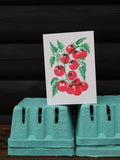 Tomato Grow Greetings Card - Sprouts of Bristol