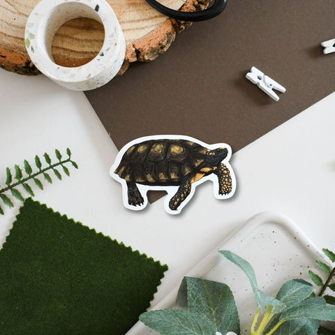 Tortoise Amazon Wildlife Vinyl Sticker [Beneath the Canopy RHS Collab] - Sprouts of Bristol