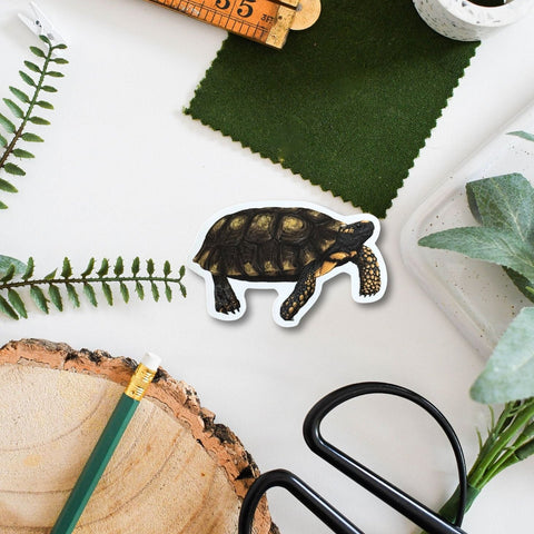 Tortoise Amazon Wildlife Vinyl Sticker [Beneath the Canopy RHS Collab] - Sprouts of Bristol