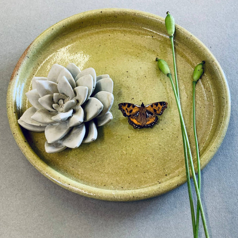 Tortoiseshell Butterfly Mini Pin Brooch - Sprouts of Bristol