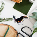 Toucan Amazon Wildlife Vinyl Sticker [Beneath the Canopy RHS Collab] - Sprouts of Bristol