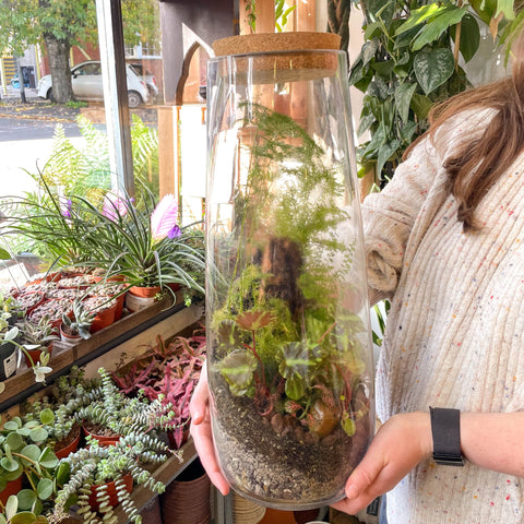 Tower Vase - Bioactive Terrarium - Sprouts of Bristol