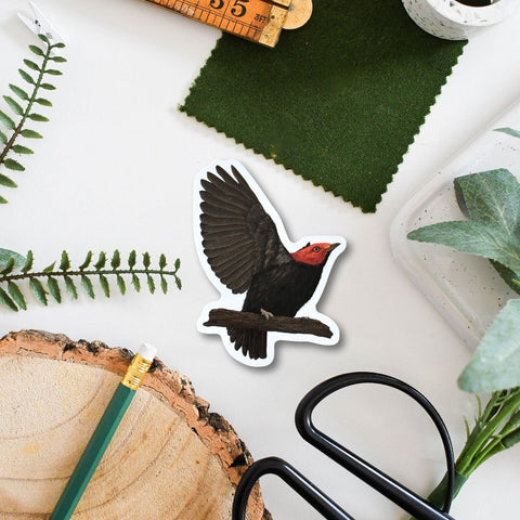 Tropical Bird Wildlife Vinyl Sticker [Beneath the Canopy RHS Collab] - Sprouts of Bristol