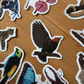 Tropical Bird Wildlife Vinyl Sticker [Beneath the Canopy RHS Collab] - Sprouts of Bristol