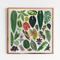 Tropical Houseplant Print [Beneath the Canopy RHS Collab] - Sprouts of Bristol