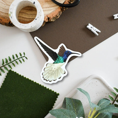 Tropical Hummingbird Amazon Wildlife Vinyl Sticker [Beneath the Canopy RHS Collab] - Sprouts of Bristol
