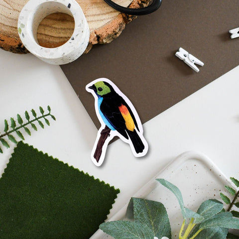 Tropical Paradise Bird Amazon Wildlife Vinyl Sticker [Beneath the Canopy RHS Collab] - Sprouts of Bristol