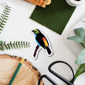Tropical Paradise Bird Amazon Wildlife Vinyl Sticker [Beneath the Canopy RHS Collab] - Sprouts of Bristol