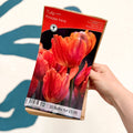 Tulip ‘Princess Irene’ – Tulip Bulbs – Pack of 10 - Sprouts of Bristol