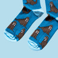 Walrus Bamboo Socks - Sprouts of Bristol