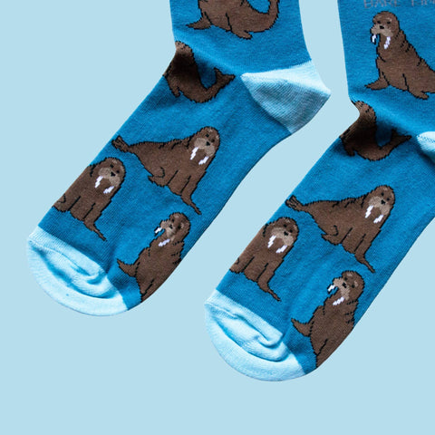 Walrus Bamboo Socks - Sprouts of Bristol