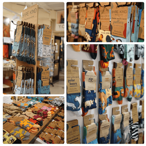 Walrus Bamboo Socks - Sprouts of Bristol