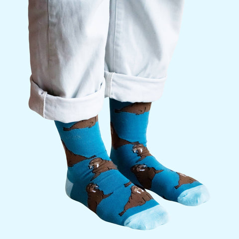 Walrus Bamboo Socks - Sprouts of Bristol