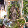 Warped Jungle Jar - Bioactive Terrarium - Sprouts of Bristol