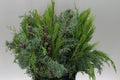 Winter Mix Foliage Branch Selection - Christmas Craft Wreath Florist Festive Decoration Fresh Foliage - Sprouts of Bristol