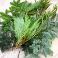 Winter Mix Foliage Branch Selection – Fresh Christmas Craft Greens for Wreaths, Garlands & Festive Floristry - Sprouts of Bristol