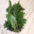 Winter Mix Foliage Branch Selection – Fresh Christmas Craft Greens for Wreaths, Garlands & Festive Floristry - Sprouts of Bristol