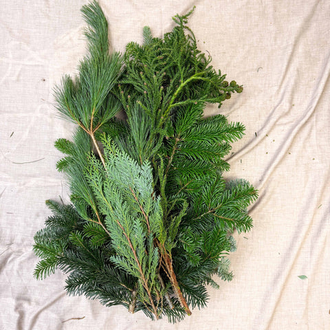 Winter Mix Foliage Branch Selection – Fresh Christmas Craft Greens for Wreaths, Garlands & Festive Floristry - Sprouts of Bristol