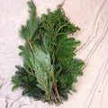 Winter Mix Foliage Branch Selection – Fresh Christmas Craft Greens for Wreaths, Garlands & Festive Floristry - Sprouts of Bristol