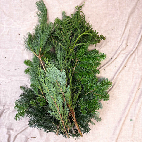 Winter Mix Foliage Branch Selection – Fresh Christmas Craft Greens for Wreaths, Garlands & Festive Floristry - Sprouts of Bristol