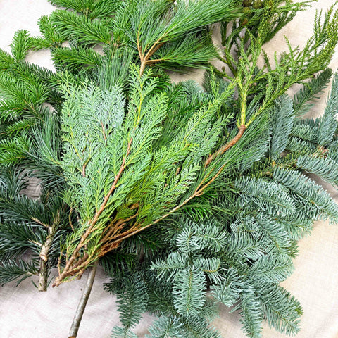 Winter Mix Foliage Branch Selection – Fresh Christmas Craft Greens for Wreaths, Garlands & Festive Floristry - Sprouts of Bristol