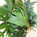 Winter Mix Foliage Branch Selection – Fresh Christmas Craft Greens for Wreaths, Garlands & Festive Floristry - Sprouts of Bristol