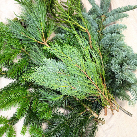 Winter Mix Foliage Branch Selection – Fresh Christmas Craft Greens for Wreaths, Garlands & Festive Floristry - Sprouts of Bristol