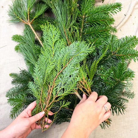 Winter Mix Foliage Branch Selection – Fresh Christmas Craft Greens for Wreaths, Garlands & Festive Floristry - Sprouts of Bristol