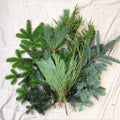 Winter Mix Foliage Branch Selection – Fresh Christmas Craft Greens for Wreaths, Garlands & Festive Floristry - Sprouts of Bristol