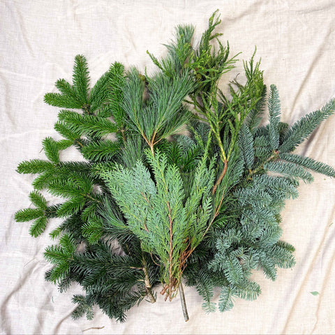 Winter Mix Foliage Branch Selection – Fresh Christmas Craft Greens for Wreaths, Garlands & Festive Floristry - Sprouts of Bristol