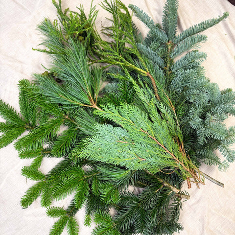Winter Mix Foliage Branch Selection – Fresh Christmas Craft Greens for Wreaths, Garlands & Festive Floristry - Sprouts of Bristol