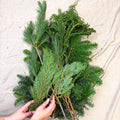 Winter Mix Foliage Branch Selection – Fresh Christmas Craft Greens for Wreaths, Garlands & Festive Floristry - Sprouts of Bristol