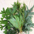 Winter Mix Foliage Branch Selection – Fresh Christmas Craft Greens for Wreaths, Garlands & Festive Floristry - Sprouts of Bristol