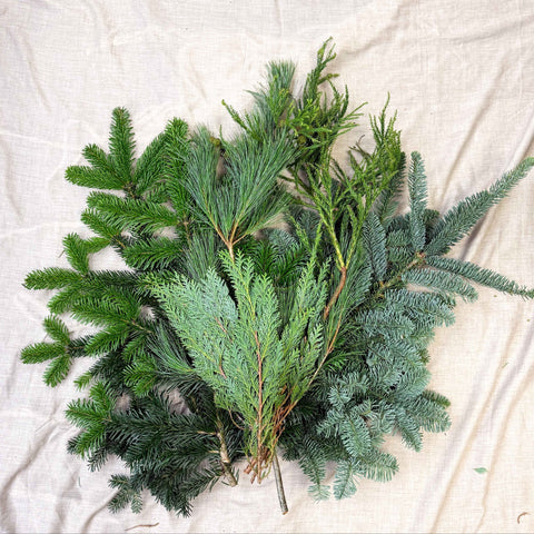 Winter Mix Foliage Branch Selection – Fresh Christmas Craft Greens for Wreaths, Garlands & Festive Floristry - Sprouts of Bristol