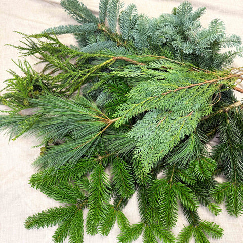 Winter Mix Foliage Branch Selection – Fresh Christmas Craft Greens for Wreaths, Garlands & Festive Floristry - Sprouts of Bristol