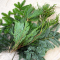 Winter Mix Foliage Branch Selection – Fresh Christmas Craft Greens for Wreaths, Garlands & Festive Floristry - Sprouts of Bristol
