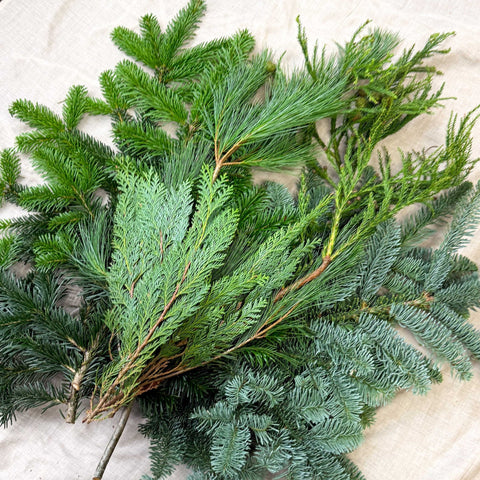 Winter Mix Foliage Branch Selection – Fresh Christmas Craft Greens for Wreaths, Garlands & Festive Floristry - Sprouts of Bristol