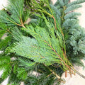 Winter Mix Foliage Branch Selection – Fresh Christmas Craft Greens for Wreaths, Garlands & Festive Floristry - Sprouts of Bristol