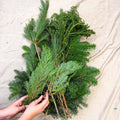 Winter Mix Foliage Branch Selection – Fresh Christmas Craft Greens for Wreaths, Garlands & Festive Floristry - Sprouts of Bristol