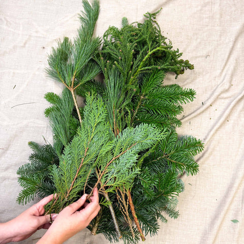 Winter Mix Foliage Branch Selection – Fresh Christmas Craft Greens for Wreaths, Garlands & Festive Floristry - Sprouts of Bristol