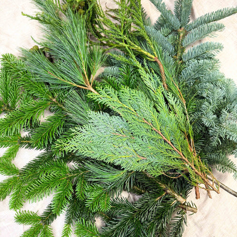 Winter Mix Foliage Branch Selection – Fresh Christmas Craft Greens for Wreaths, Garlands & Festive Floristry - Sprouts of Bristol