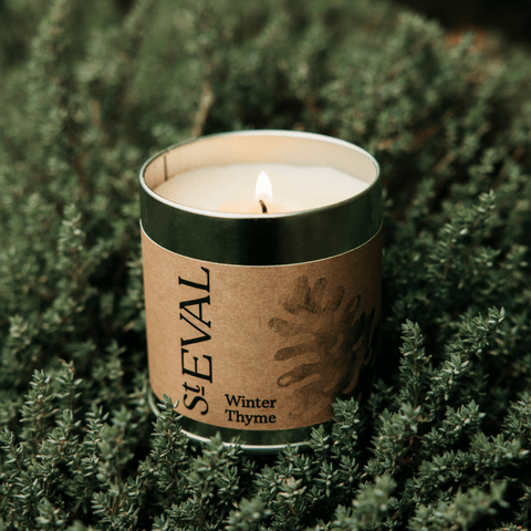 Winter Thyme Scented Tin Candle - Sprouts of Bristol