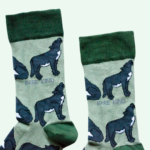 Wolves Bamboo Socks - Sprouts of Bristol