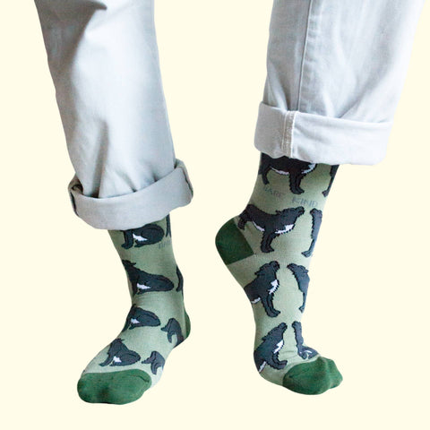Wolves Bamboo Socks - Sprouts of Bristol