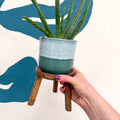 Wooden Tripod Plant Stand – Three Leg Stool Table - Sprouts of Bristol