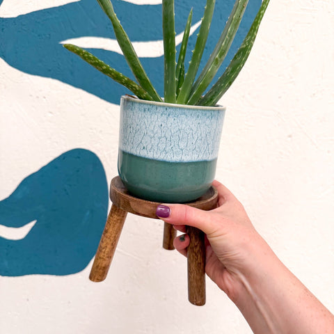 Wooden Tripod Plant Stand – Three Leg Stool Table - Sprouts of Bristol