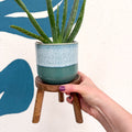 Wooden Tripod Plant Stand – Three Leg Stool Table - Sprouts of Bristol