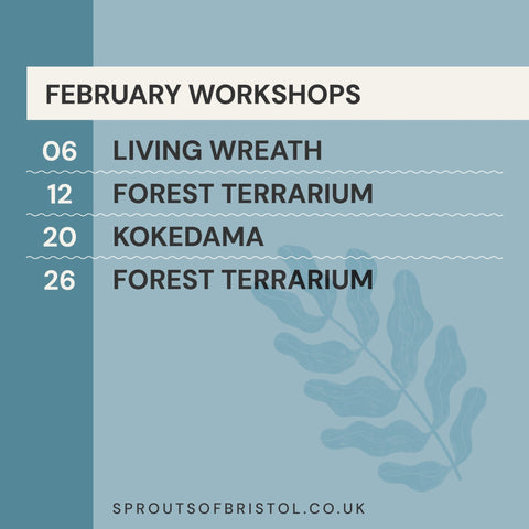 Workshops (Autumn and Winter 24/25) - Sprouts of Bristol